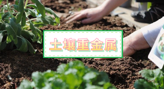 全自动石墨消解仪2种方法改进土壤重金属测定