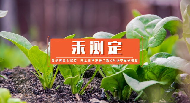 如何测定蔬菜中微量汞？石墨消解-原子荧光光谱法测定